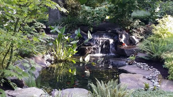 Classic Nursery & Landscape Co. Design and Construction pond waterfall