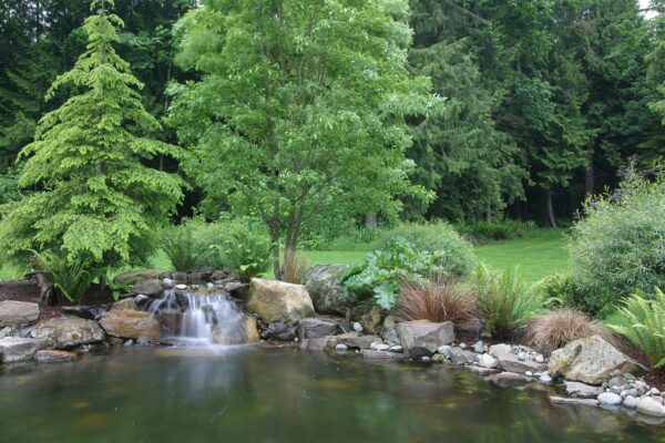 Waterfall pond Water Feature in Seattle WA