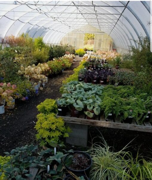 Classic Nursery & Landscape Co. Design and Construction greenhouse