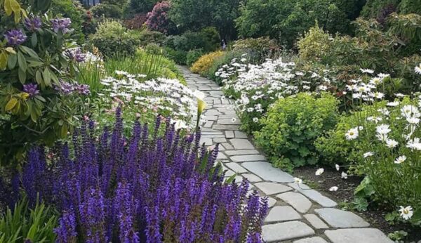 Classic Nursery & Landscape Co. Design and Construction stone pathway